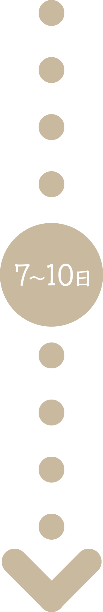 2日から4日で完成